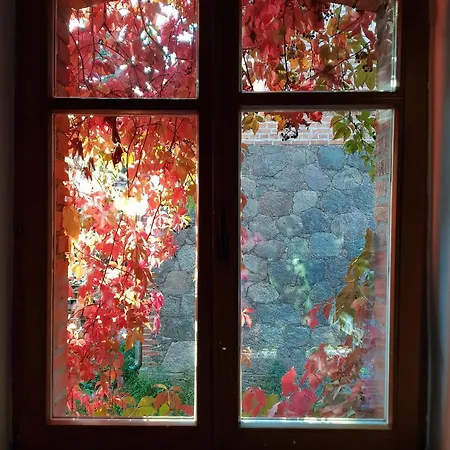 In Haselberg Mit Grossem Garten Apartment
